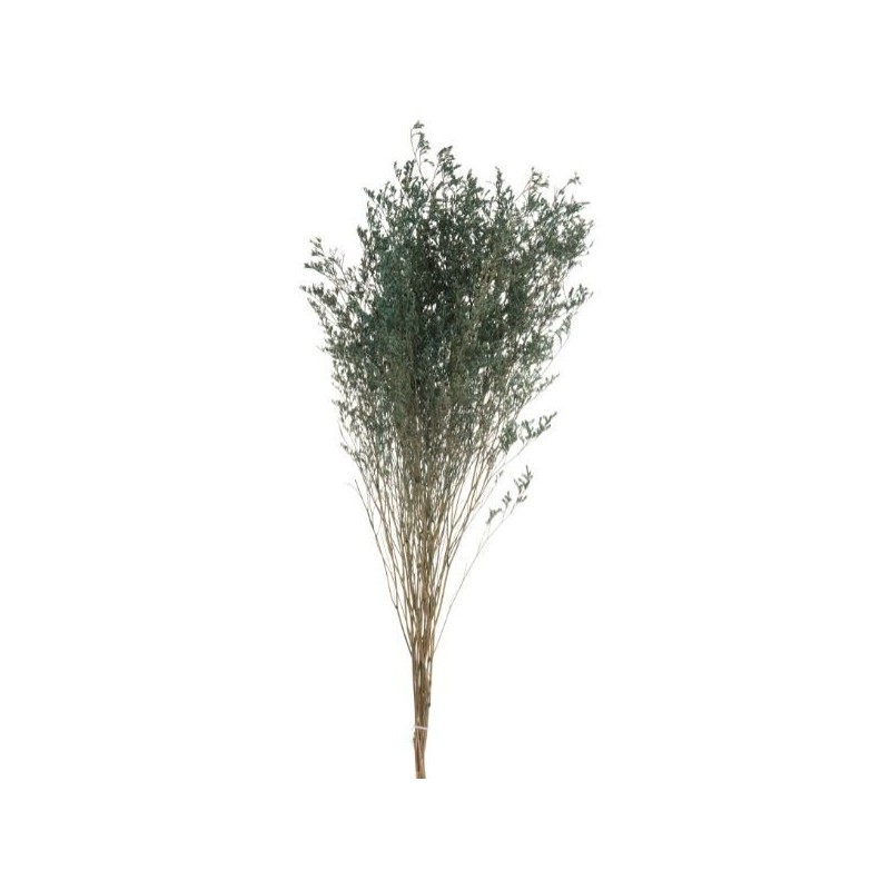 Lavender Branch Dry Sea