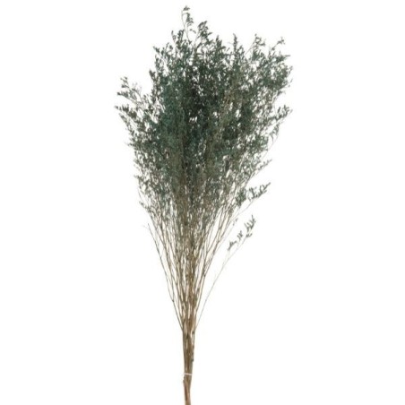 Lavender Branch Dry Sea