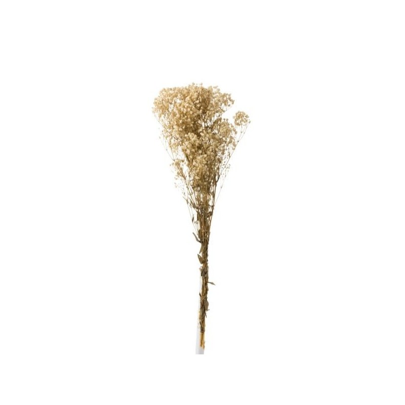 Gypsophila Dry Branch