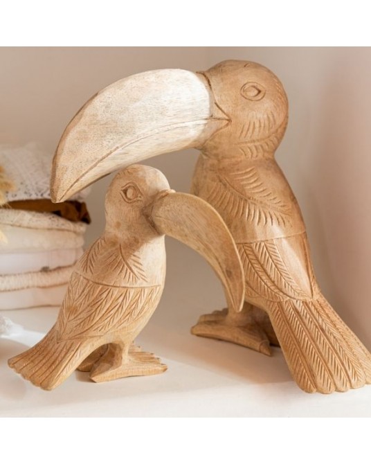 Wood Toucan