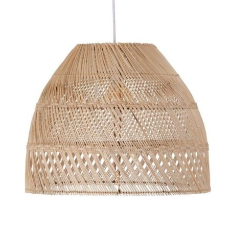 Common Ceiling Lamp