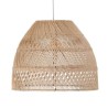 Common Ceiling Lamp