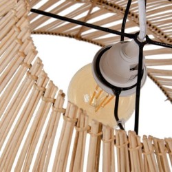 Common Ceiling Lamp