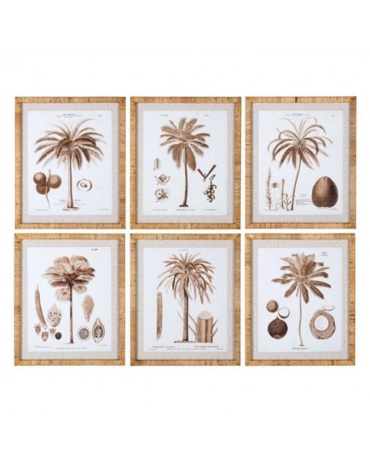 Set 6 Frames Palmtree Natural