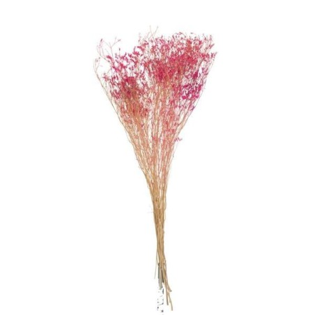 Gypsophila Fuchsia Dry Branch