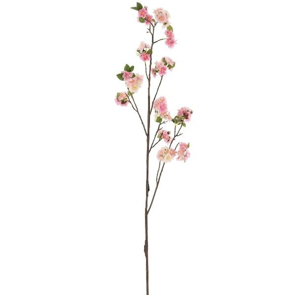 Ramo Blossom 130cm