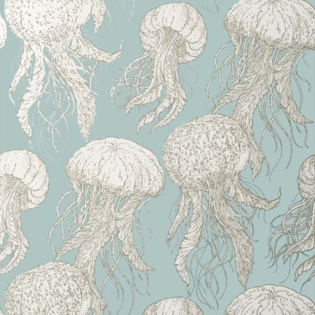 Wallpaper Jelly Fish Bloom