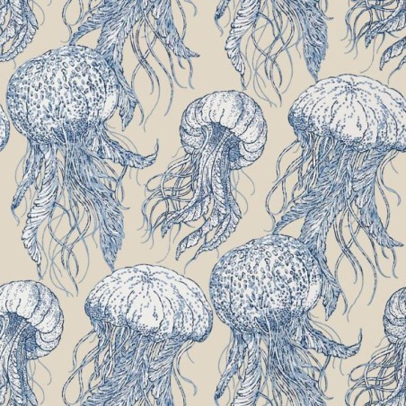 Wallpaper Jelly Fish Bloom