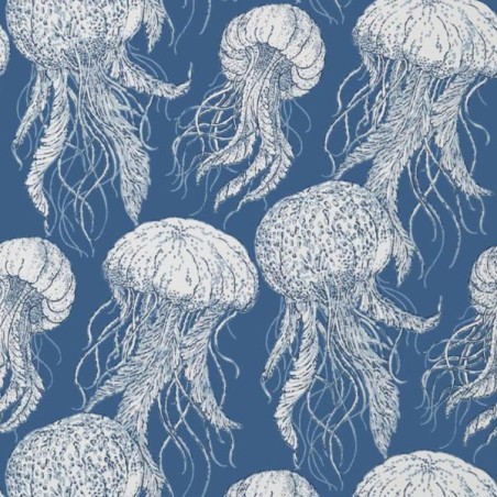 Wallpaper Jelly Fish Bloom