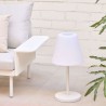 Amaray Outdoor Lamp