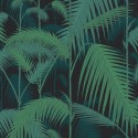 Palm Jungle