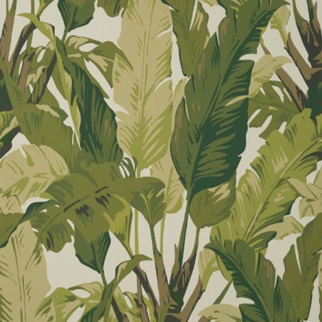 Wallpaper Travelers Palm Sage