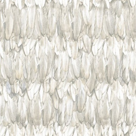 Wallpaper Feathers