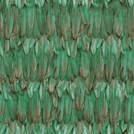 Wallpaper Feathers