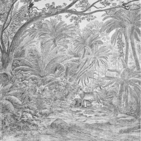 Wallpaper Mural Borneo Graphite