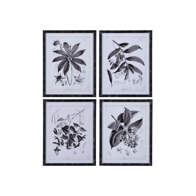 Set 4 Frames Black Flowers