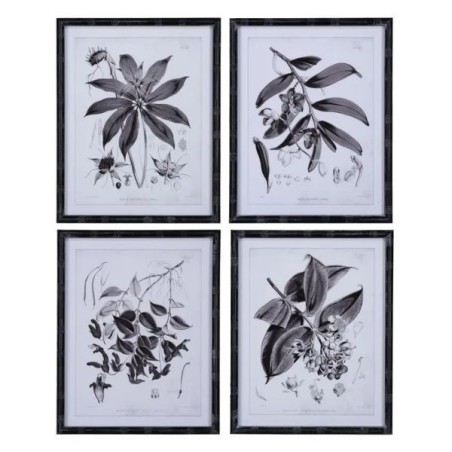 Set 4 Frames Black Flowers