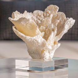 Coral Arrecife Resin