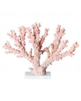 Coral Rosa Resina