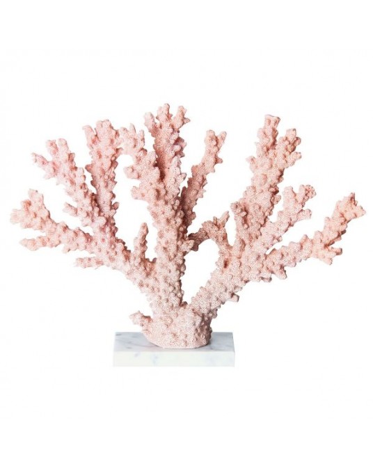 Coral Rosa Resina
