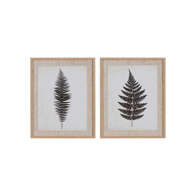 Set 2 Frames Fern