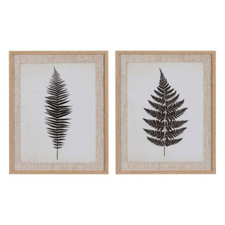 Set 2 Frames Fern