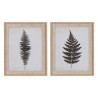 Set 2 Quadros Fern