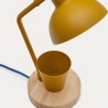Table Lamp Wonder