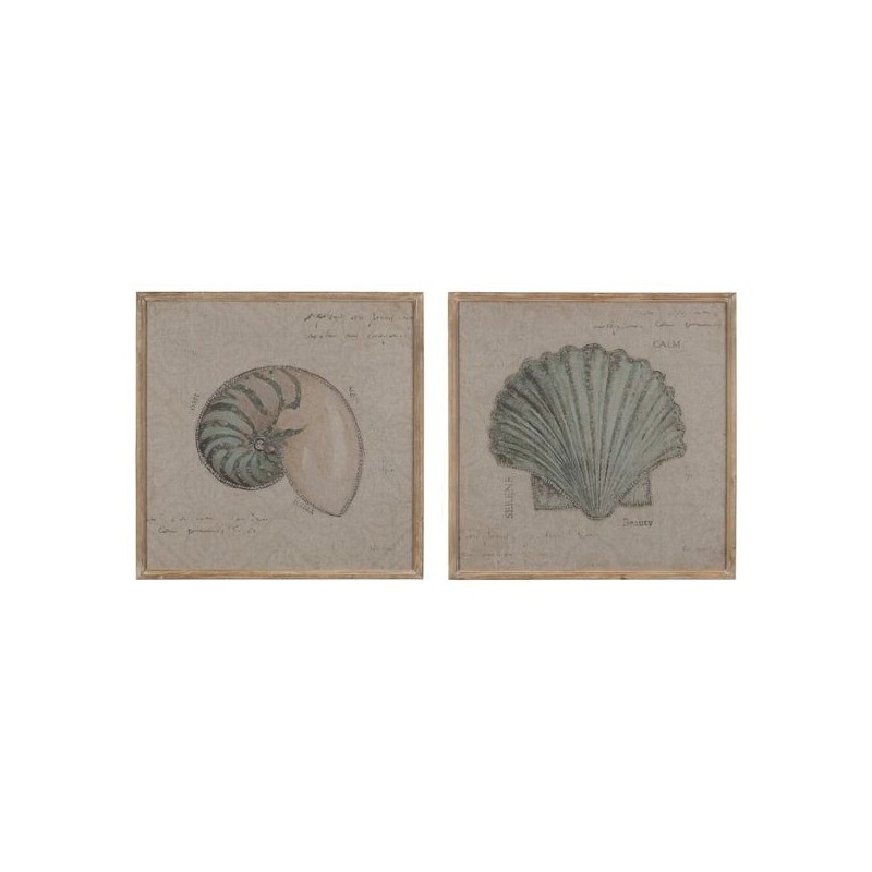 Set 2 Quadros Aqua Shell