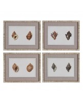 Set 4 Quadros Buzios