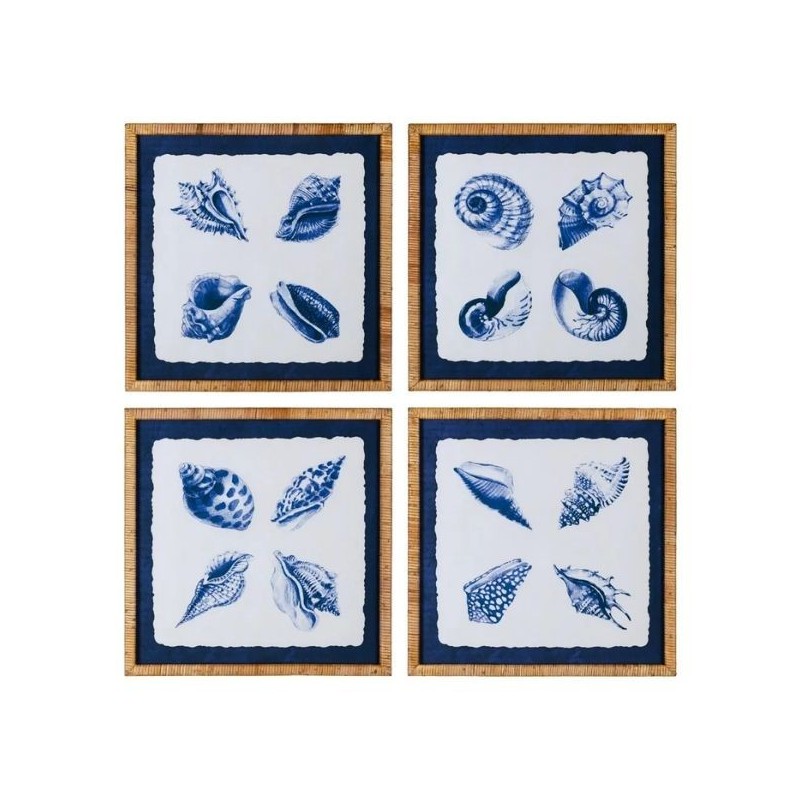 Set 4 Frames Conch Shell