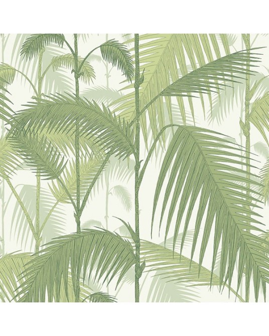 Palm Jungle