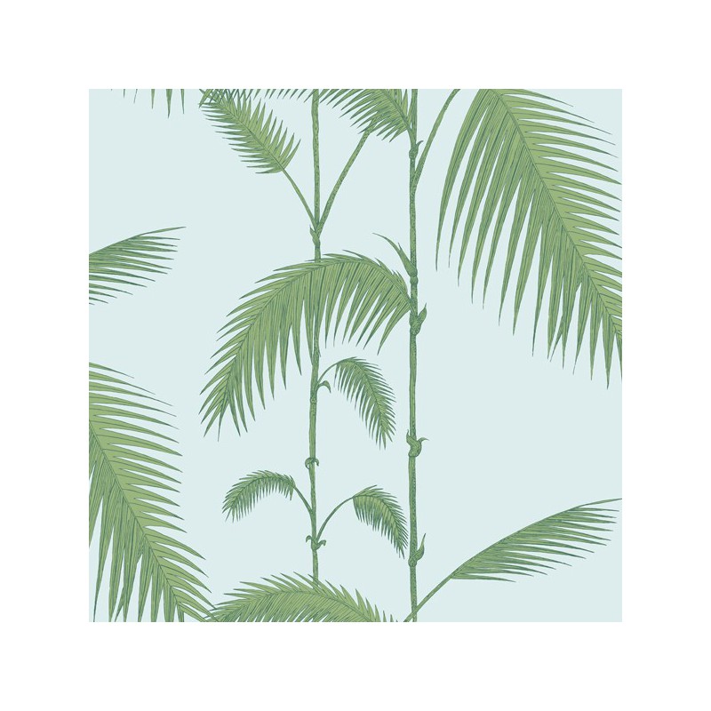 Palm Leaves