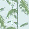 Palm Leaves