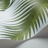Palm Leaves