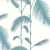 Palm Leaves