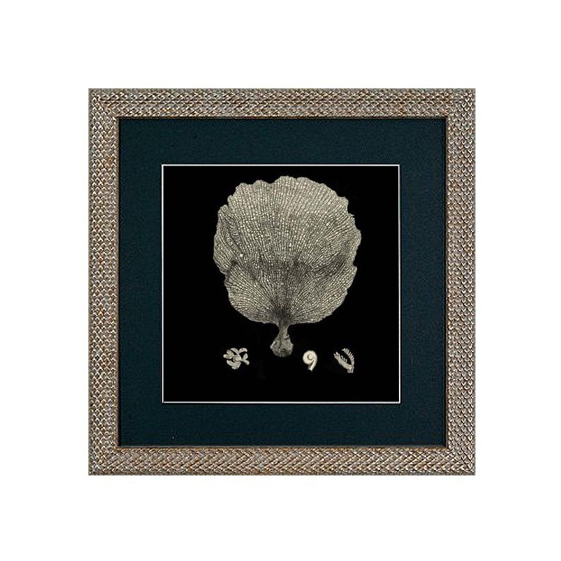 Black Coral Frame III