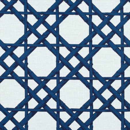 Cyrus Cane Fabric 