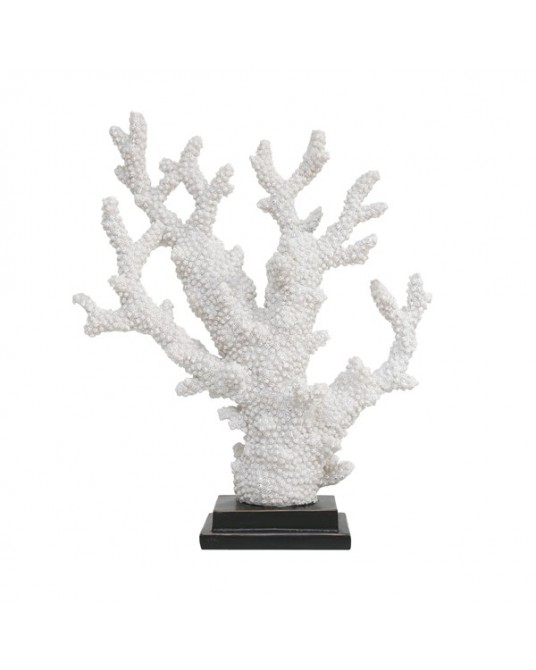 Coral Branco Preto L
