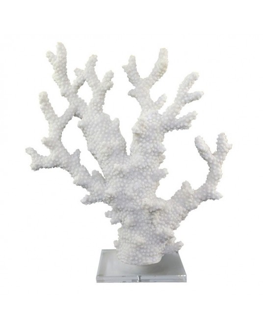  White Coral Acrylic Base