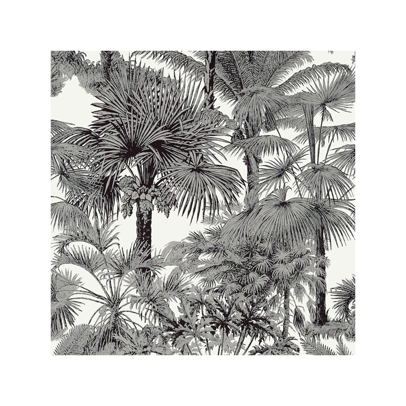 Papel de Parede Palm Botanical Black