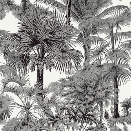 Wallpaper Palm Botanical Black