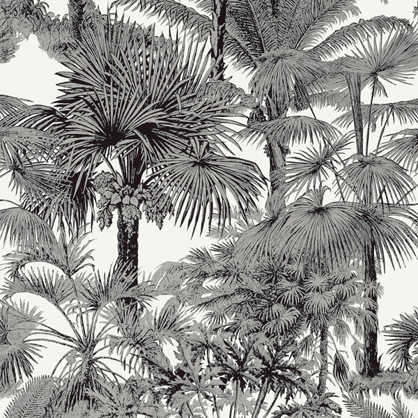 Papel de Parede Palm Botanical Black