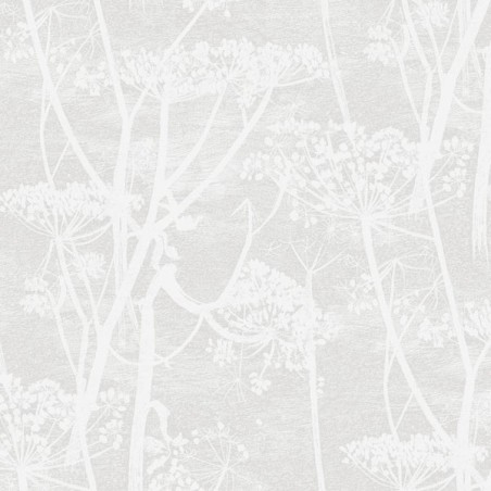 Wallpaper Cow Parsley