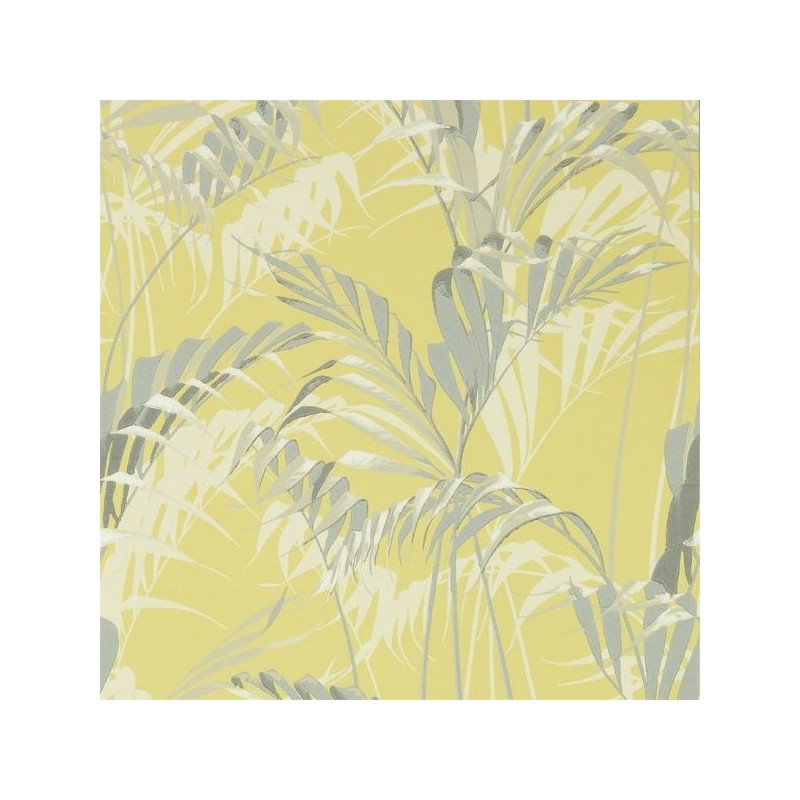 Papel de Parede Palm House