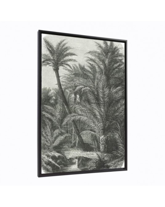 Canva Bamidele Palm