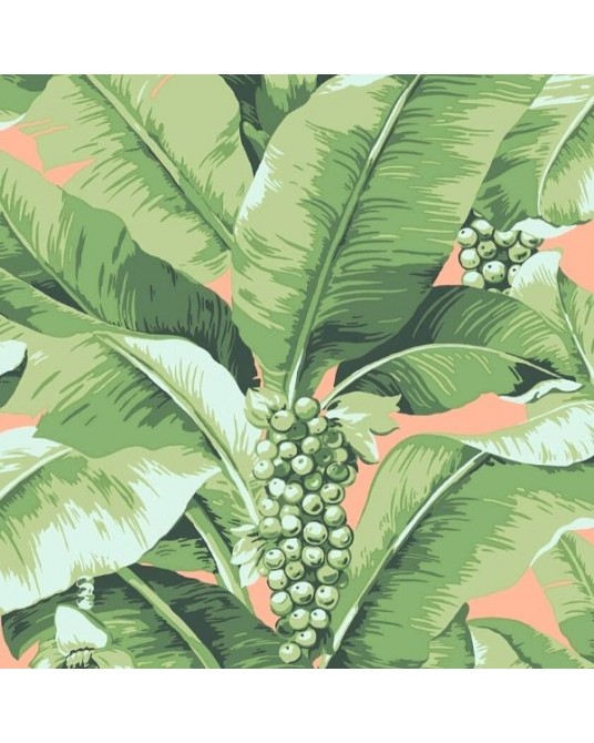 Wallpaper Paradisio Palm