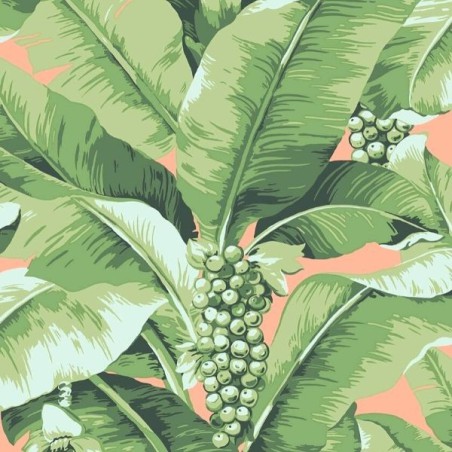 Wallpaper Paradisio Palm