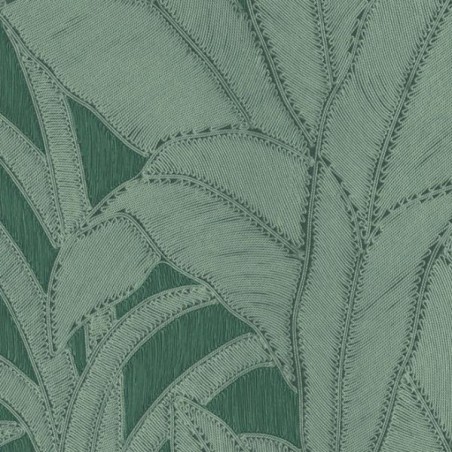 Wallpaper Botanic Pine