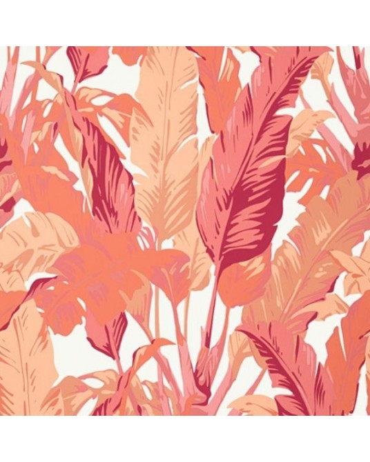 Wallpaper Travelers Palm Pink Coral